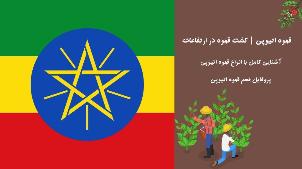 قهوه اتیوپی