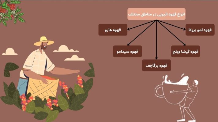 انواع قهوه اتیوپی